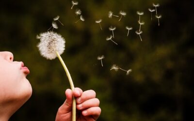 REVIVE’s dandelion logo…isn’t that a weed?